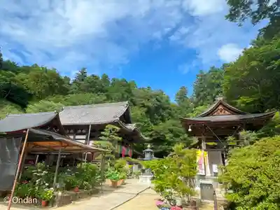 岡寺(龍蓋寺)(奈良県)