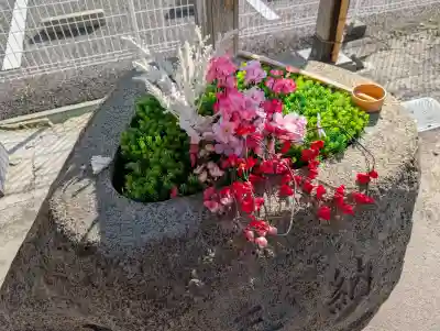 阿邪訶根神社の{uncategorized: "未分類", other: "その他", undefined: "問題あり", building: "その他建物", grave: "お墓", sacred_gate: "鳥居", guardian: "狛犬", statue: "像", buddha: "仏像", history: "歴史", nature: "自然", garden: "庭園", animal: "動物", pagoda: "塔", temizu: "手水舎", mountain_gate: "山門・神門", sanctuary: "本殿・本堂", subordinate: "末社・摂社", art: "芸術", scenery: "景色", jizo: "地蔵", ema: "絵馬", goshuin: "御朱印", omikuji: "おみくじ", items: "授与品その他", amulet: "お守り", goshuincho: "御朱印帳", eats: "食事", festival: "お祭り", votive_dance: "神楽", shichigosan: "七五三参", wedding: "結婚式", experience: "体験その他", initially: "初詣", around: "周辺", anti_infection: "感染症対策"}