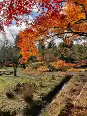 鶏足寺(滋賀県)