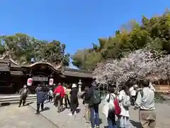 平野神社(京都府)