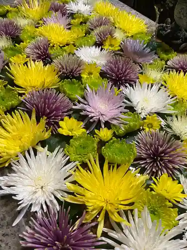 長良神社の手水舎
