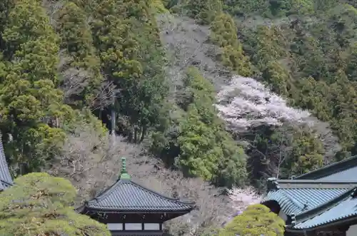 久遠寺(山梨県)