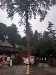 磐裂根裂神社の建物その他