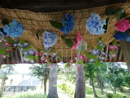 美幌神社の手水