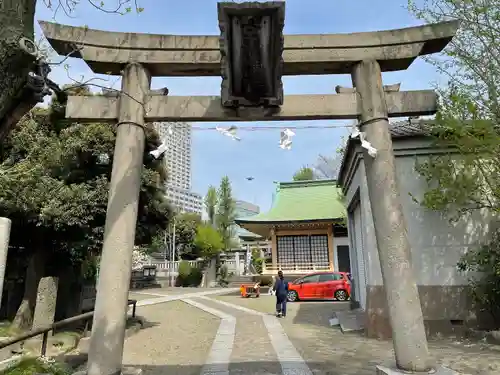 白鬚神社の鳥居