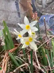 伊和都比売神社の自然