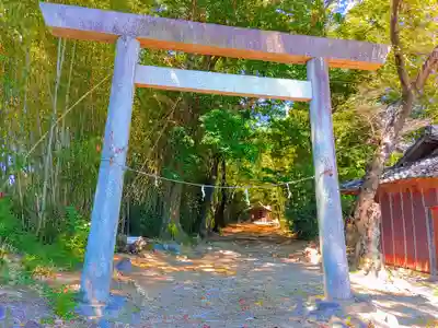 神明社(島本)の鳥居