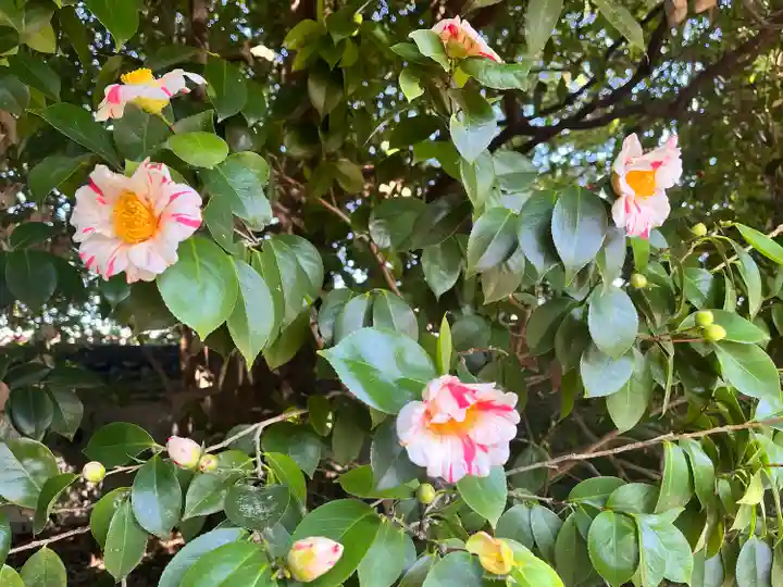 城南宮(京都府)