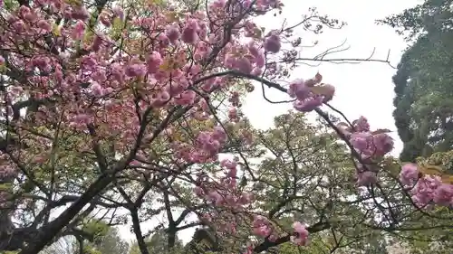 平野神社の庭園