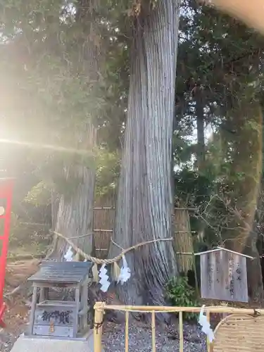 矢奈比賣神社（見付天神）(静岡県)