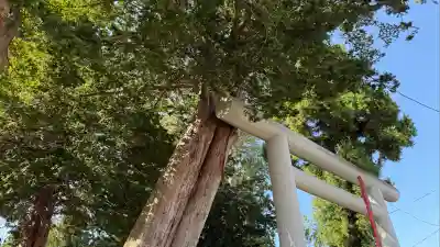 意冨比神社(北海道)