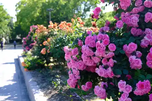 十日恵比須神社(福岡県)