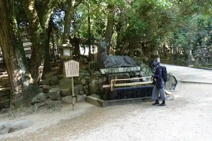 春日大社の手水舎