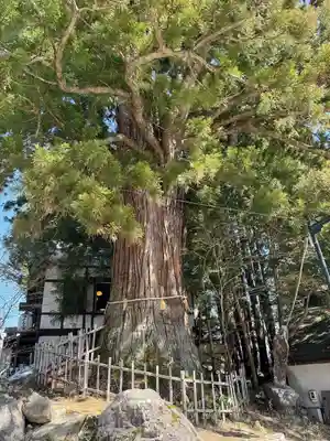 戸隠神社中社(長野県)