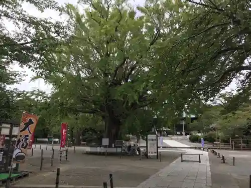 時宗総本山 遊行寺（正式：清浄光寺）の庭園