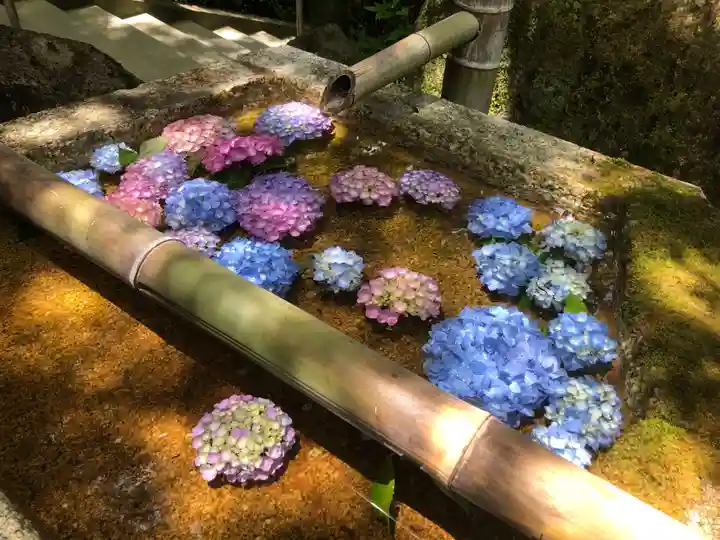 今熊野観音寺の手水舎