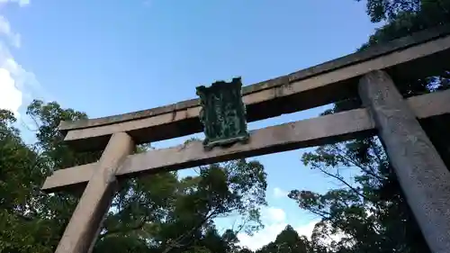 大山祇神社の鳥居