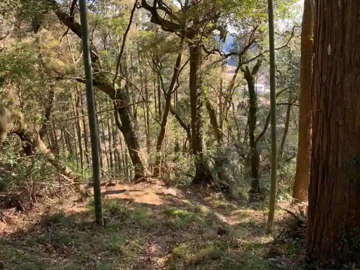 八坂神社の自然