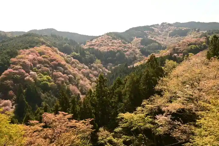𠮷水神社(吉水神社)(奈良県)