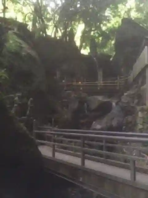 南蔵院のその他建物