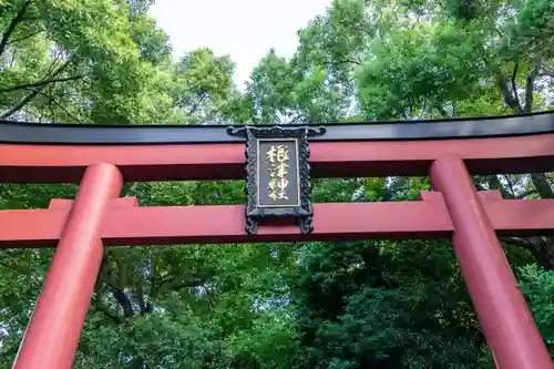 根津神社の鳥居