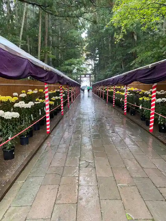 彌彦神社(新潟県)