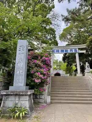 玉川神社の鳥居