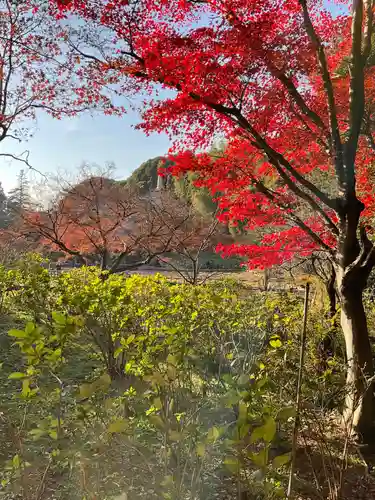 本土寺(千葉県)
