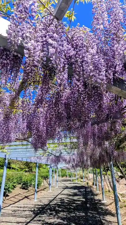 金蛇水神社(宮城県)