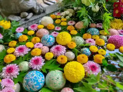 滑川神社 - 仕事と子どもの守り神の手水舎