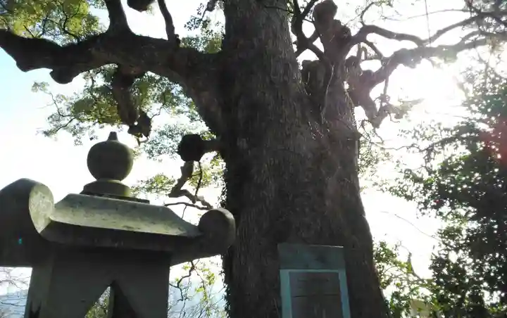 恵蘇八幡宮のその他建物