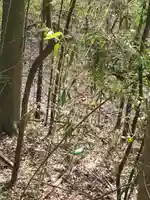 お姫様神社(栃木県)