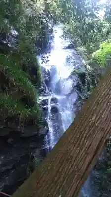 如意輪寺の周辺