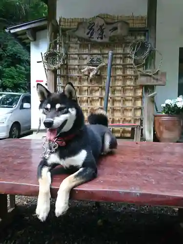 佛性寺（黒谷観音）の動物