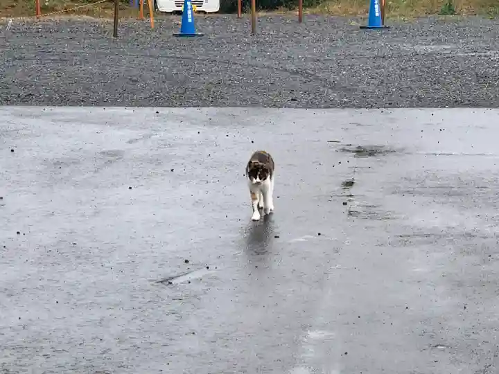 寺岡山元三大師の動物