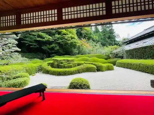 大池寺(滋賀県)