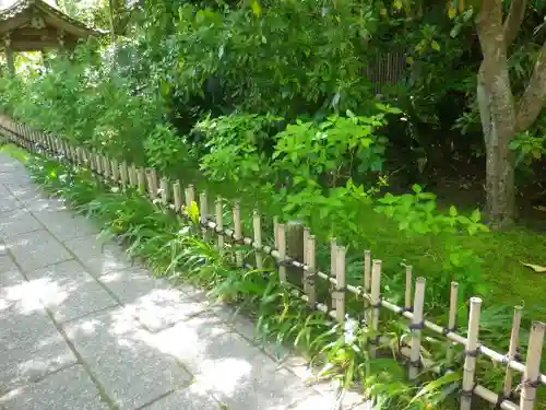 安國論寺（安国論寺）の庭園