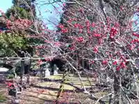 大宮神社(福井県)