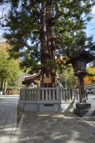 諏訪大社下社秋宮(長野県)