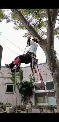 阿邪訶根神社(福島県)