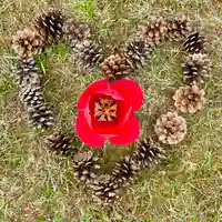 伊達神社のその他建物