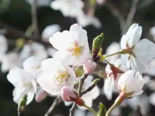 三上神社(滋賀県)