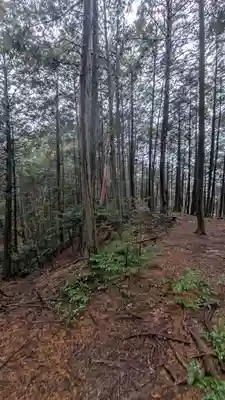 秋葉神社(京都府)