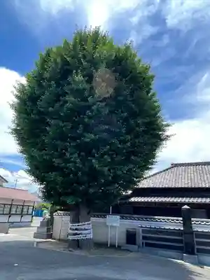 子守神社(千葉県)