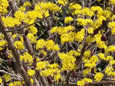 由加神社（和気由加神社）(岡山県)