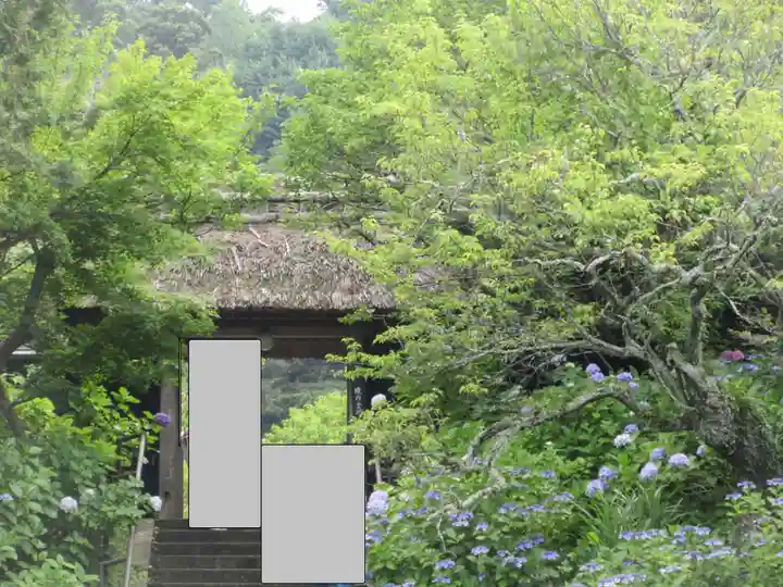 東慶寺(神奈川県)