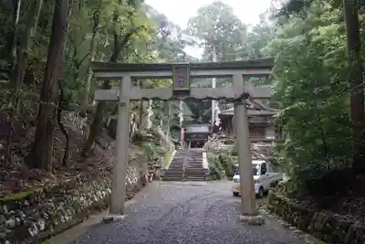 崇道神社の鳥居