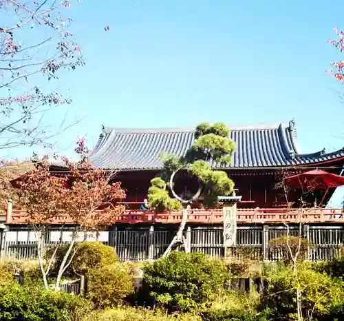 清水観音堂の庭園