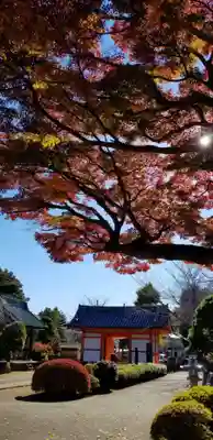 國分寺の山門・神門
