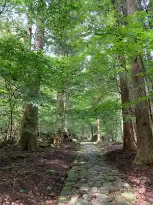 瀧尾神社（日光二荒山神社別宮）(栃木県)